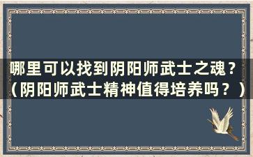 哪里可以找到阴阳师武士之魂？ （阴阳师武士精神值得培养吗？）